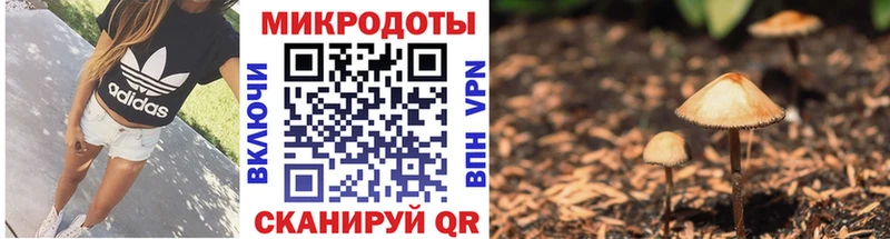 Псилоцибиновые грибы мицелий  Купить закладки  Горнозаводск 