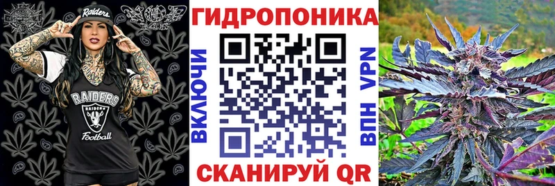 Купить где  Горнозаводск  Шишки марихуана сатива 